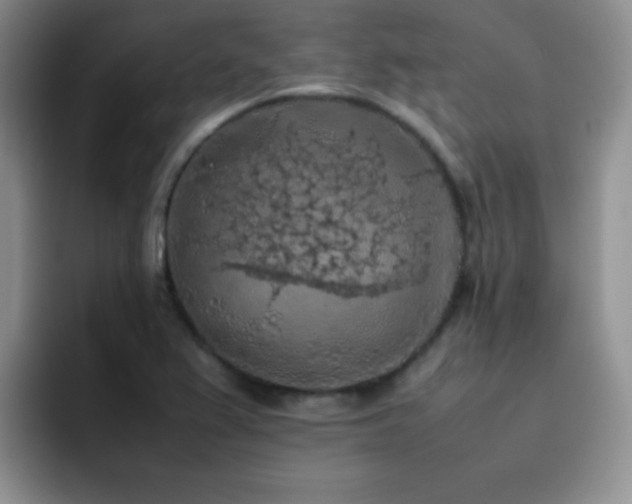 X0000092221367200709141036