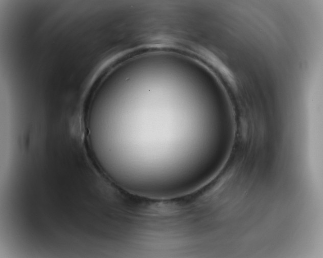 X0000092221368200709141036