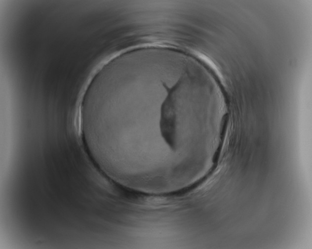 X0000092221371200709141036