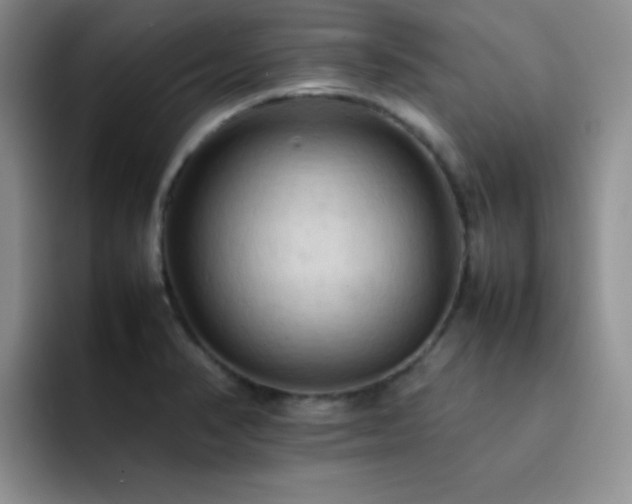 X0000092221374200709141036