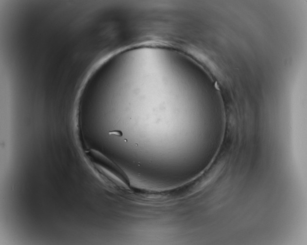 X0000092221375200709141036