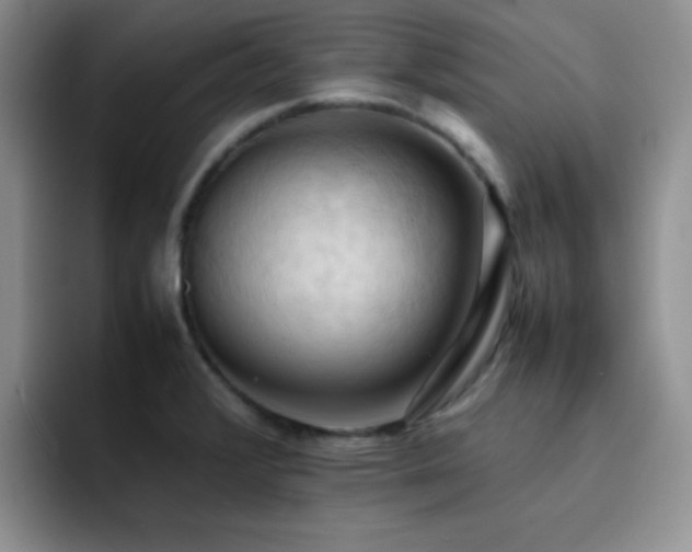 X0000092221376200709141036