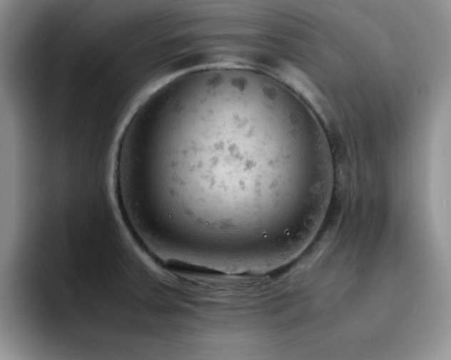 X0000092221379200709141036