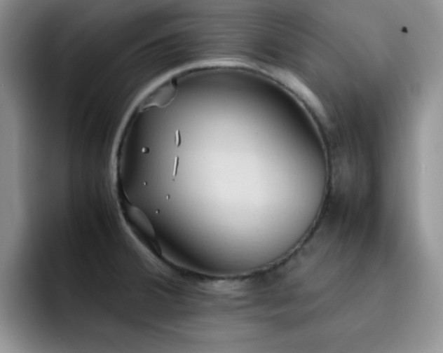 X0000092221380200709141036