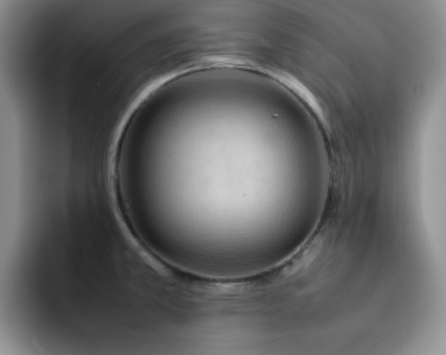 X0000092221381200709141036