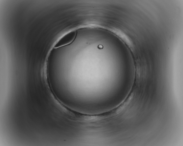 X0000092221382200709141036