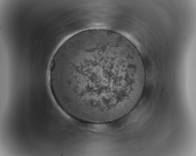 X0000092221383200709141036