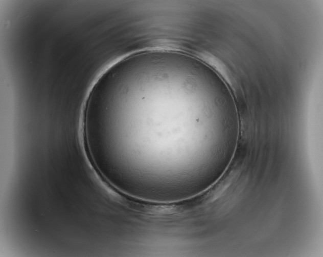 X0000092221387200709141036