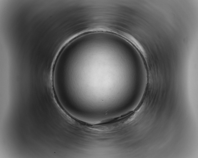X0000092221388200709141036