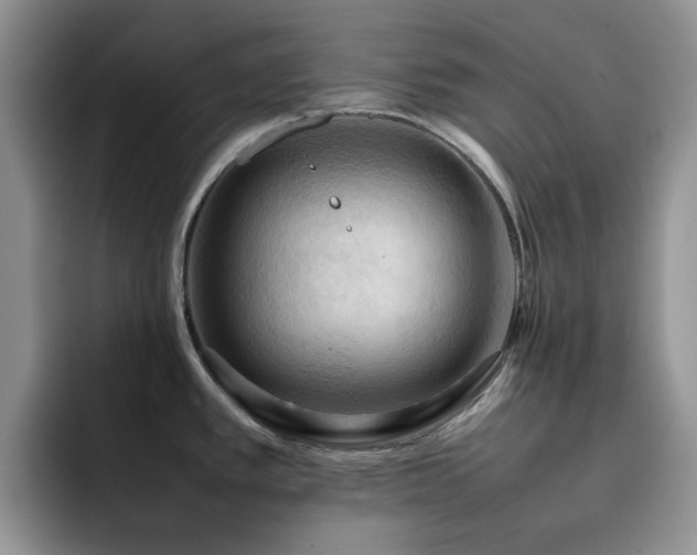 X0000092221389200709141036