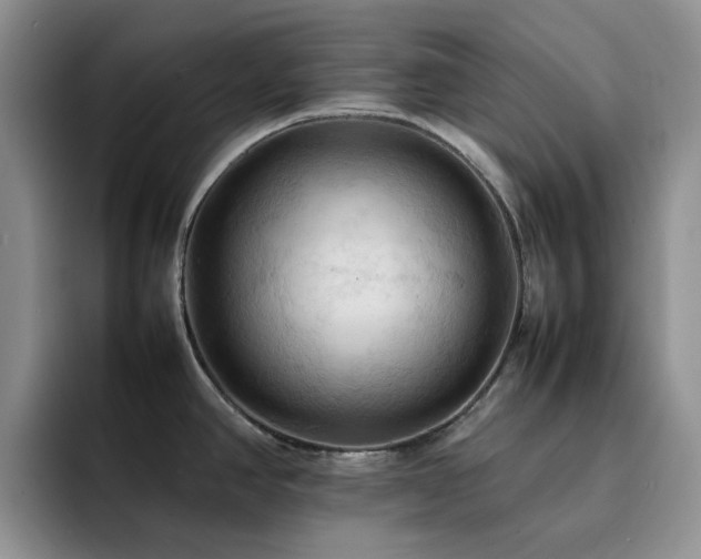 X0000092221390200709141036