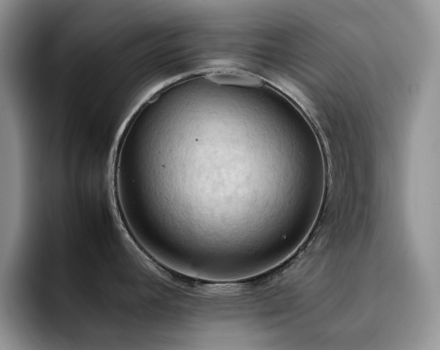 X0000092221392200709141036