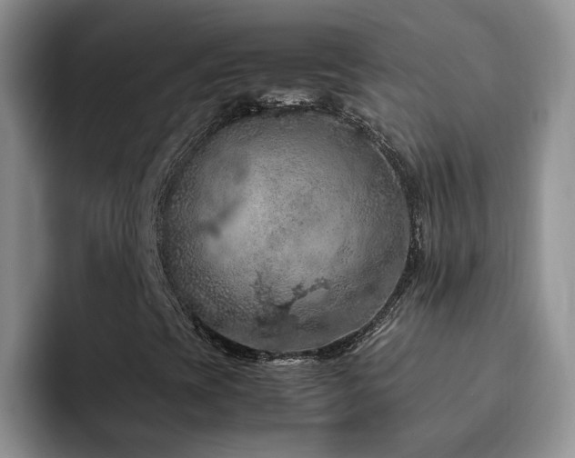 X0000092221393200709141036