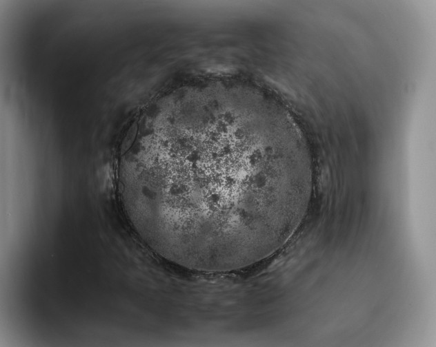 X0000092221397200709141036