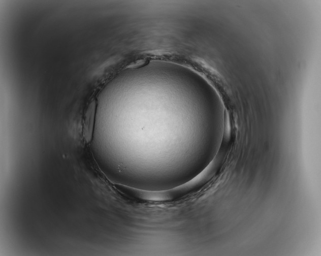 X0000092221398200709141036
