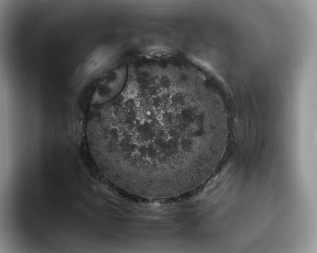X0000092221399200709141036