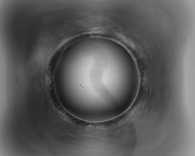 X0000092221400200709141036