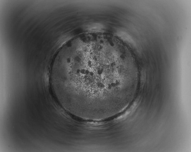 X0000092221401200709141036