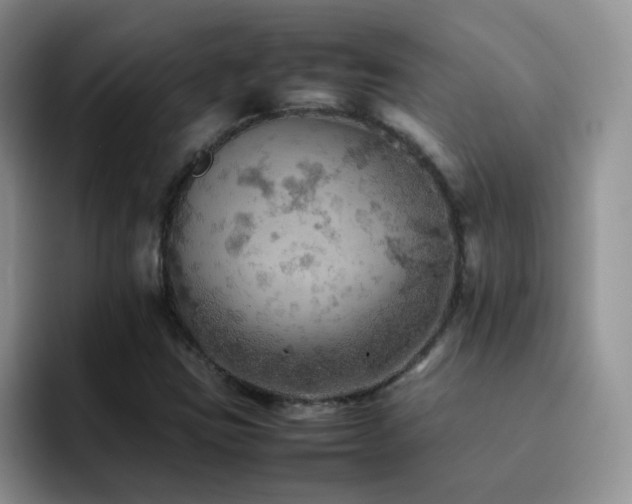 X0000092221403200709141036