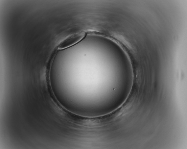 X0000092221404200709141036