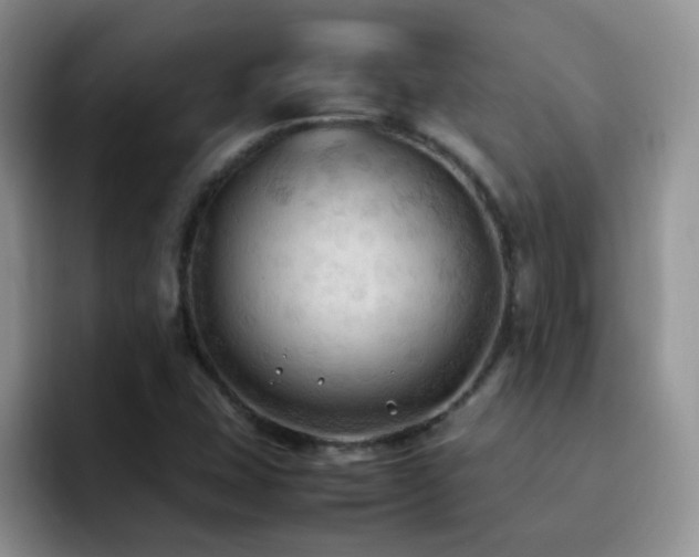 X0000092221407200709141036