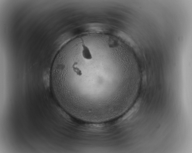 X0000092221409200709141036