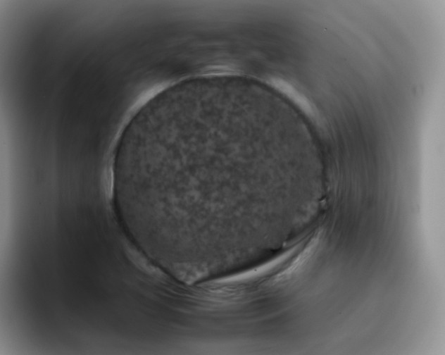 X0000092221413200709141036