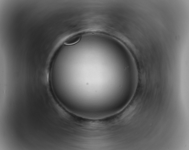 X0000092221416200709141036