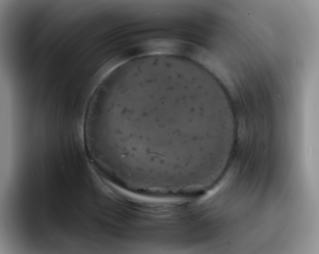 X0000092221417200709141036