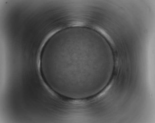 X0000092221418200709141036