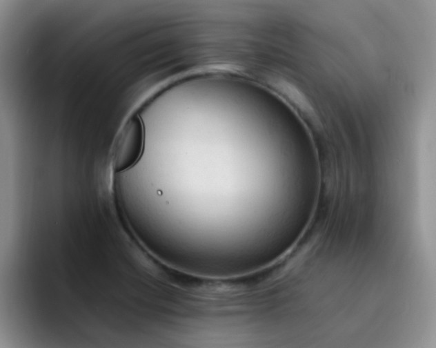X0000092221420200709141036