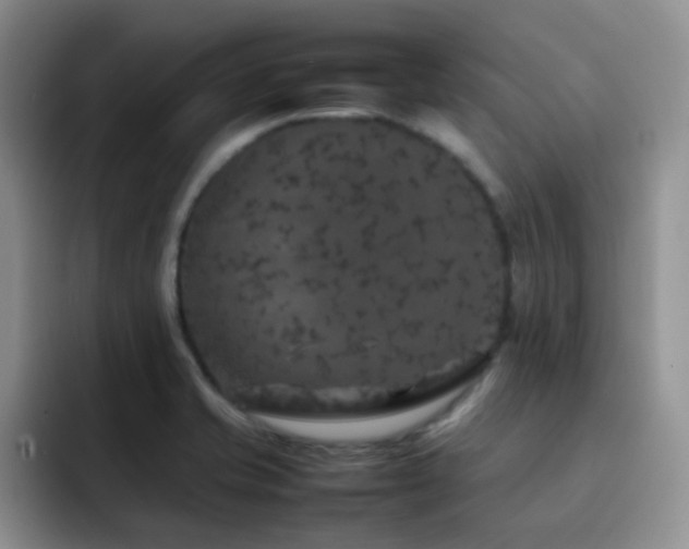 X0000092221421200709141036