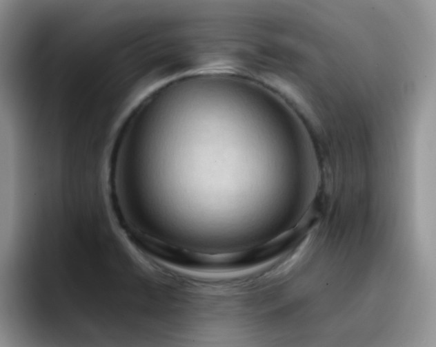 X0000092221422200709141036