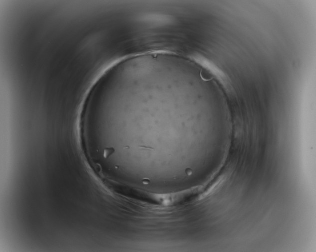 X0000092221423200709141036