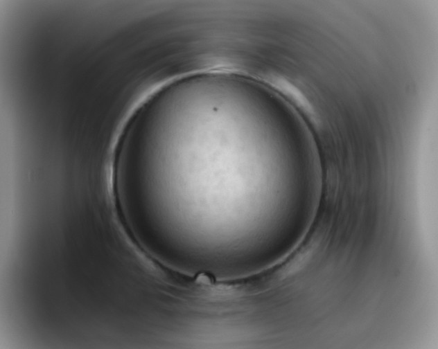 X0000092221424200709141036