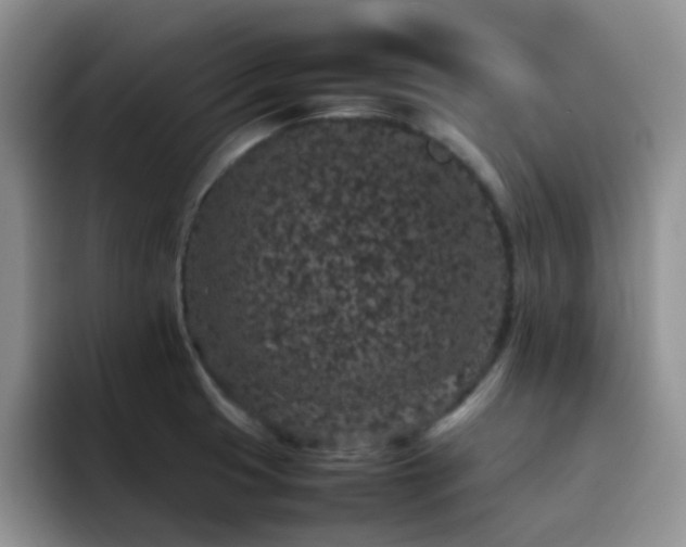 X0000092221425200709141036