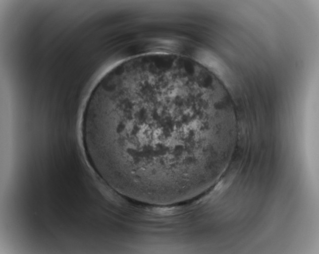 X0000092221427200709141036