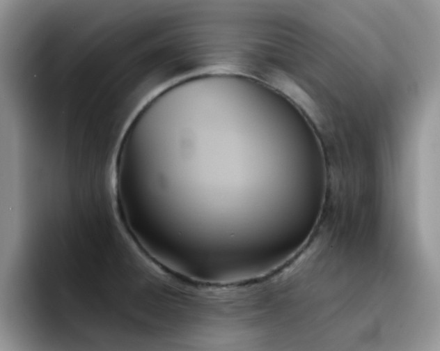 X0000092221428200709141036