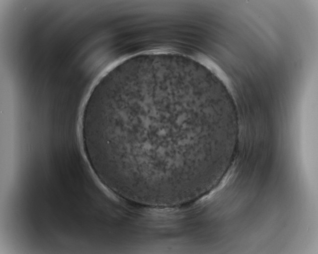 X0000092221429200709141036