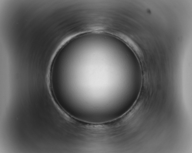 X0000092221432200709141036
