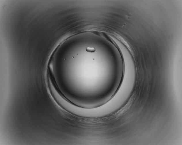 X0000092221434200709141036