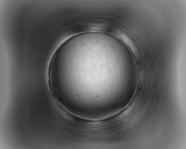 X0000092221435200709141036