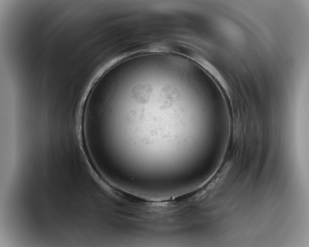 X0000092221437200709141036