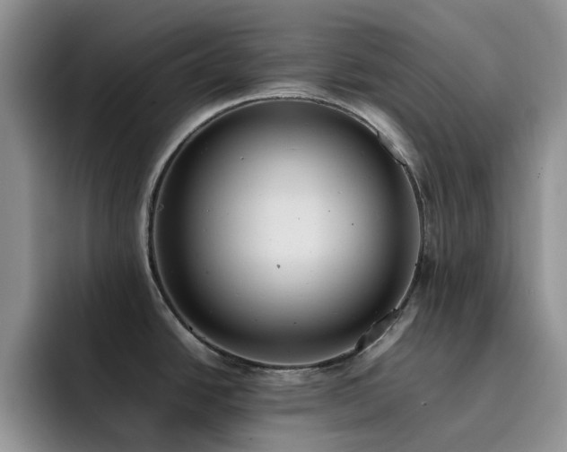 X0000092221438200709141036