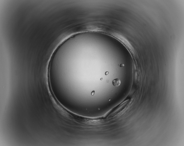 X0000092221439200709141036