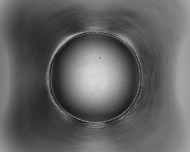 X0000092221440200709141036
