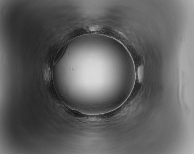 X0000092221443200709141036