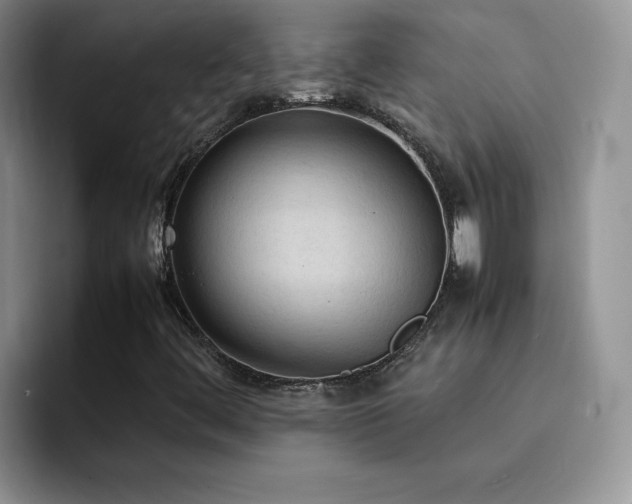 X0000092221444200709141036