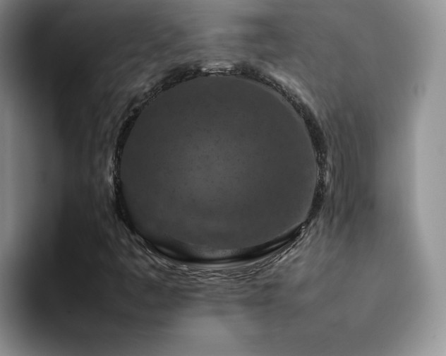 X0000092221445200709141036