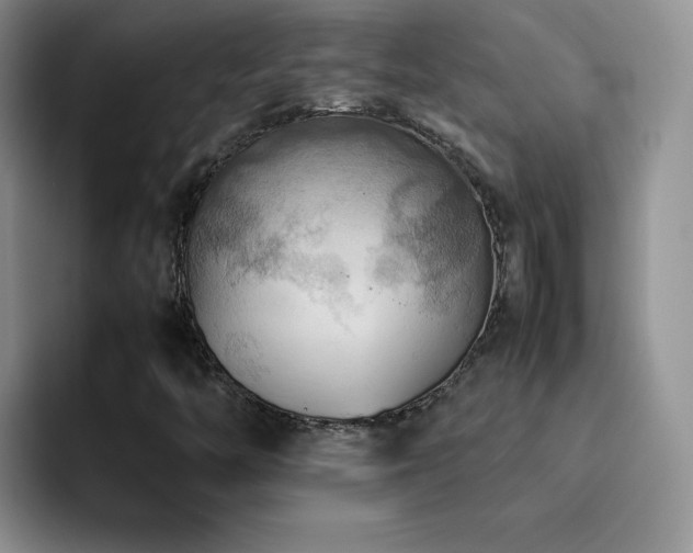 X0000092221446200709141036